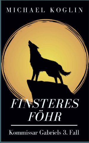 [Kommissar Gabriel 03] • Finsteres Foehr